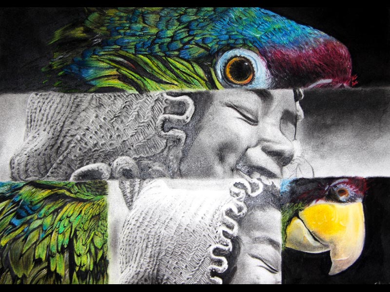 Exposition 2014 – ARTS PLASTIQUES : travail d’élève 4