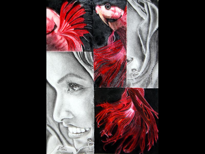 Exposition 2014 – ARTS PLASTIQUES : travail d’élève 5