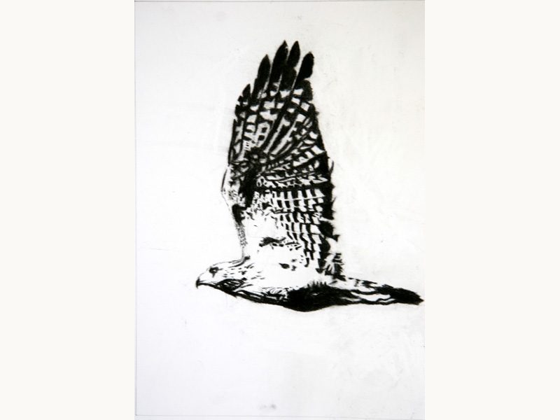 Exposition 2016 – Arts Plastiques : travail d’élève 4