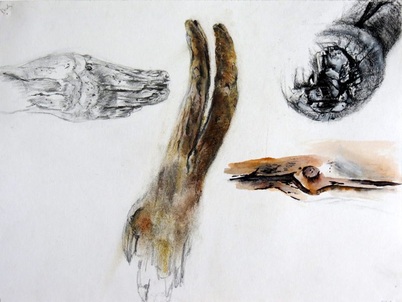Exposition 2015 – ARTS PLASTIQUES : travail d’élève 25