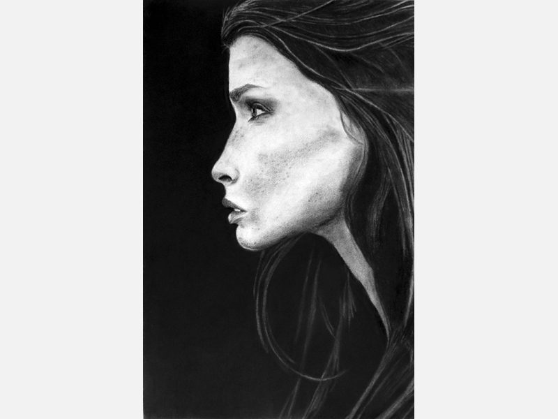 Exposition 2015 – ARTS PLASTIQUES : travail d’élève 1