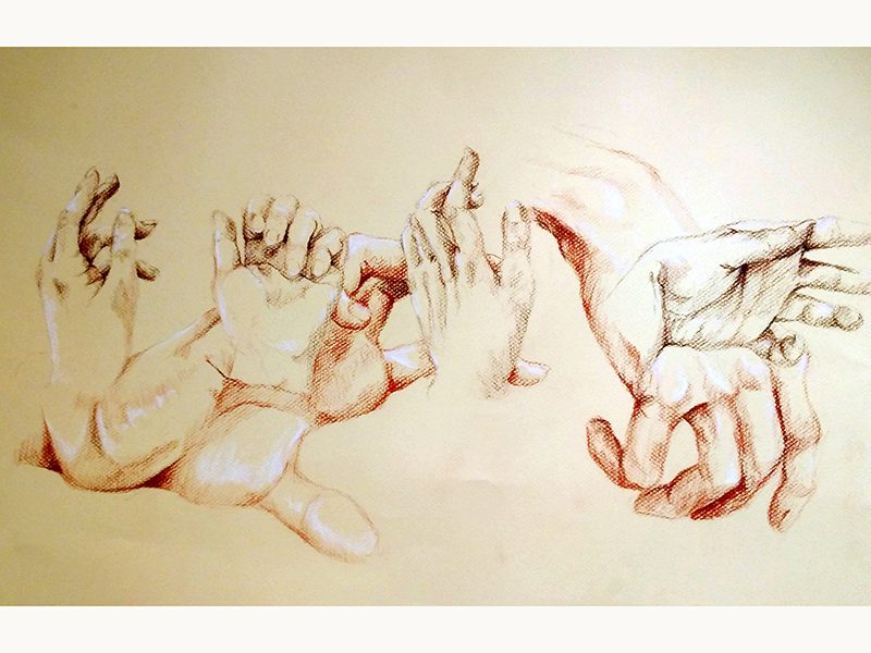 Exposition 2017 – Dessin d’observation : travail d’élève 7