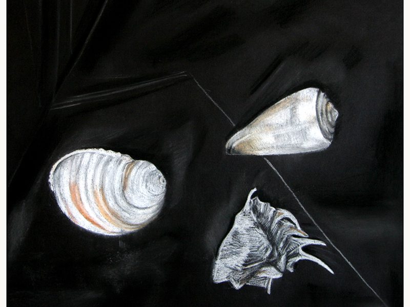 Exposition 2017 – Dessin d’observation : travail d’élève 10
