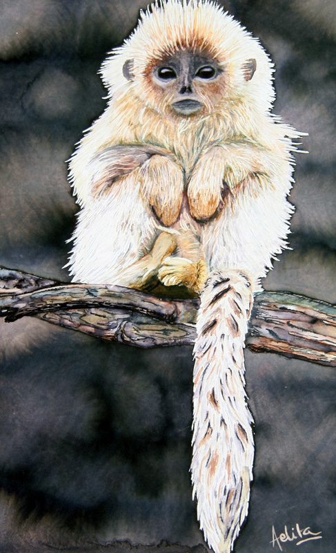 Exposition 2019 – Arts Plastiques : travail d’élève 51