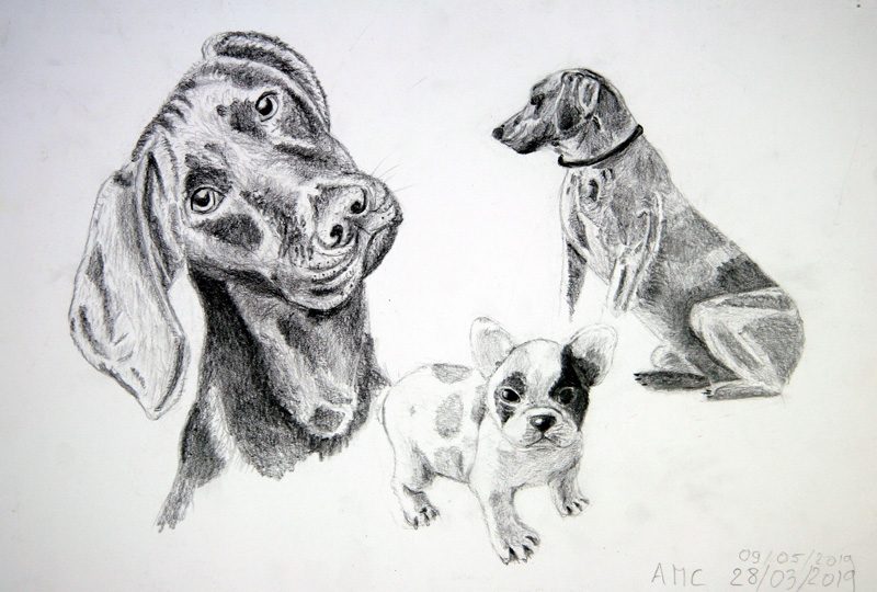 Exposition 2019 – Dessin d&rsquo;Observation : travail d’élève 7