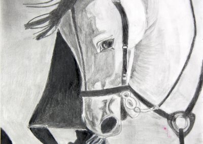 Dessin d&rsquo;Observation