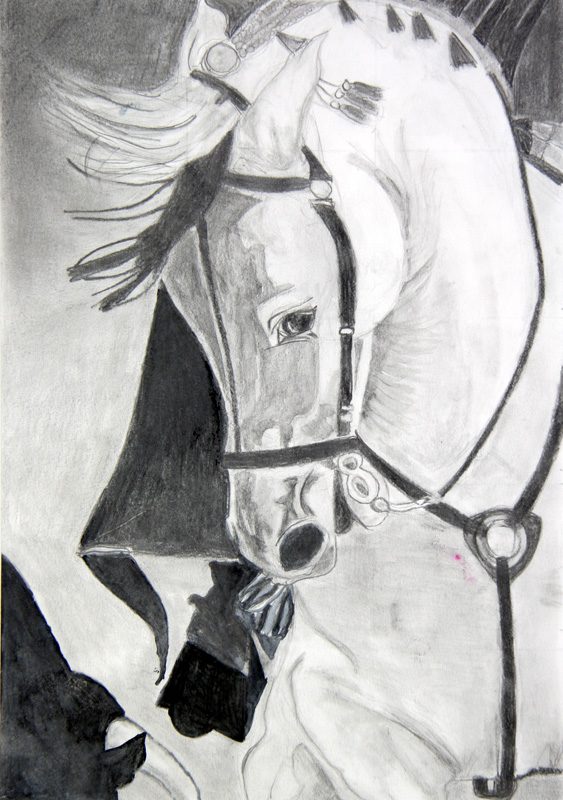 Exposition 2019 – Dessin d’Observation
