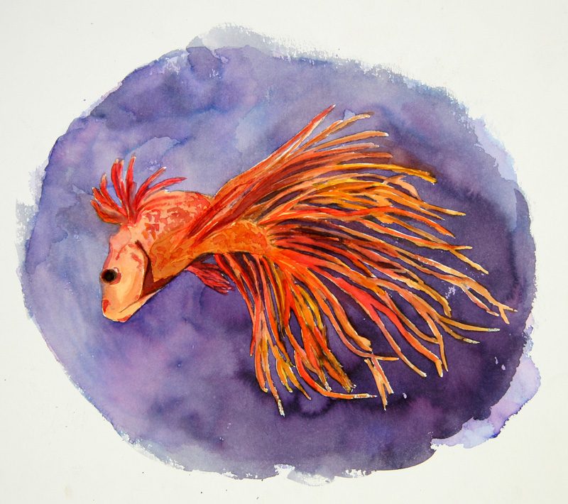 Exposition 2019 – Dessin d&rsquo;Observation : travail d’élève 2