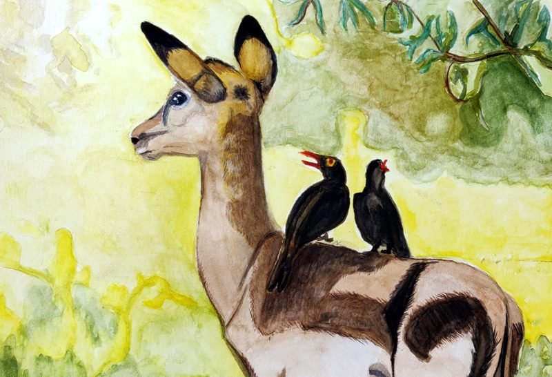 Exposition 2019 – Dessin d&rsquo;Observation : travail d’élève 1