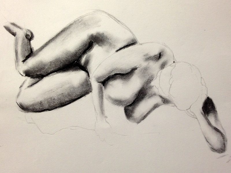 Exposition 2016 – DESSIN D&rsquo;OBSERVATION : travail d’élève 16