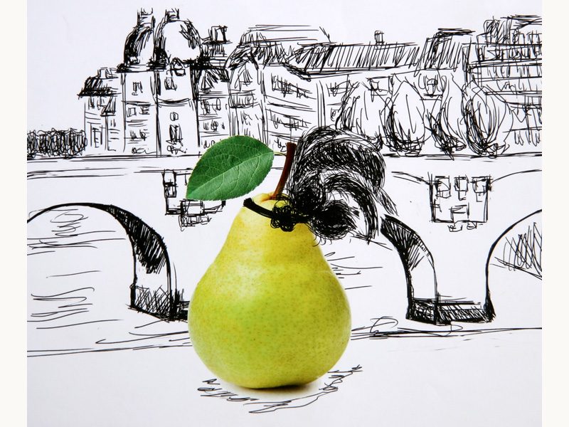 Exposition 2016 – BD/ILLUSTRATION : travail d’élève 22