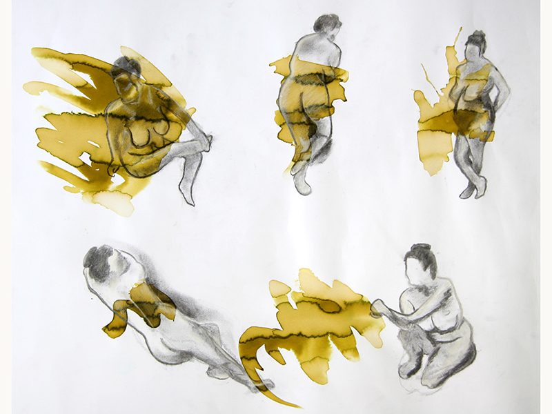 Exposition 2016 – DESSIN D&rsquo;OBSERVATION : travail d’élève 15