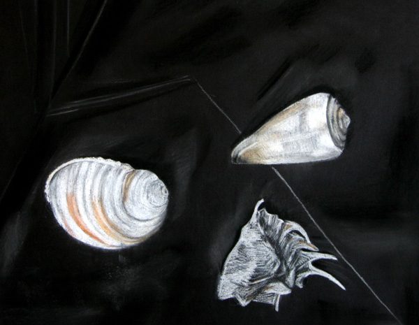 Exposition 2019 – Dessin d&rsquo;Observation : travail d’élève 29