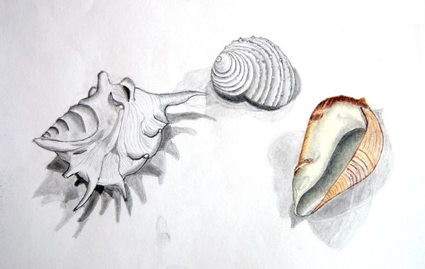Exposition 2019 – Dessin d&rsquo;Observation : travail d’élève 33