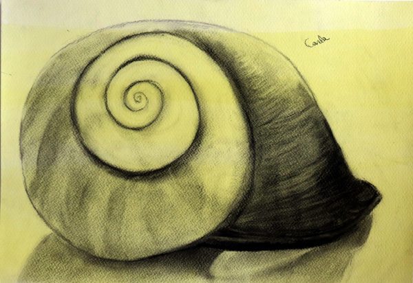 Exposition 2019 – Dessin d&rsquo;Observation : travail d’élève 22