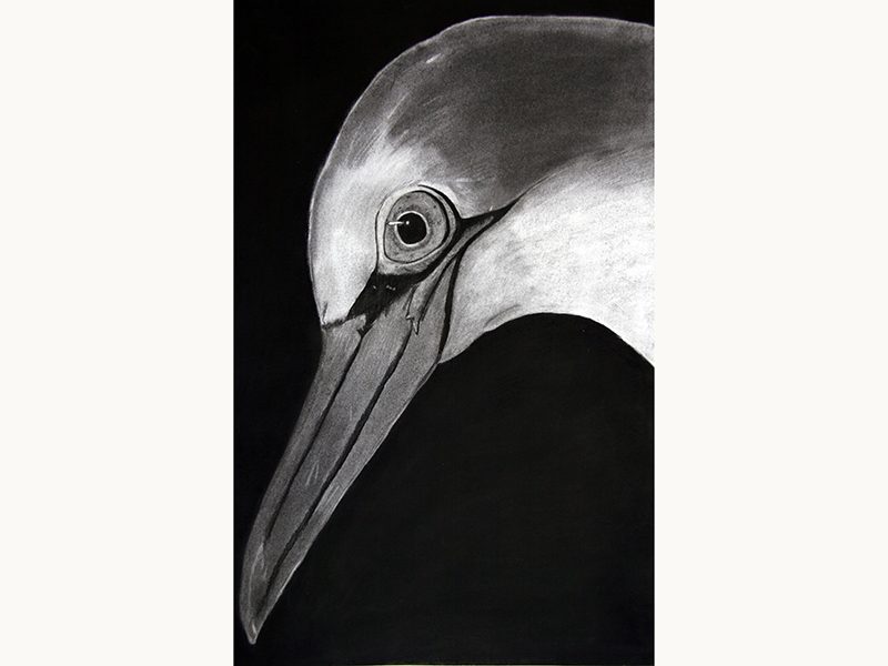 Exposition 2018 – Arts Plastiques : travail d’élève 21
