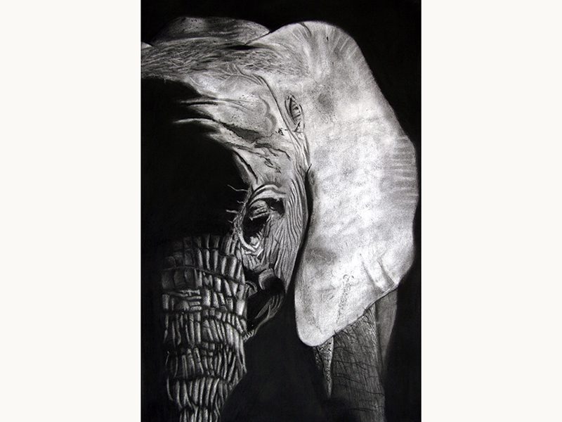 Exposition 2018 – Arts Plastiques : travail d’élève 6