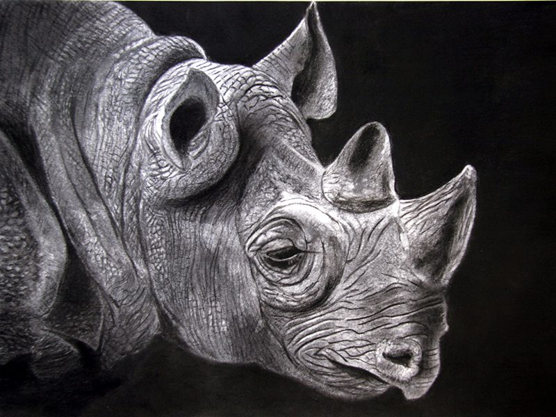Exposition 2018 – Arts Plastiques : travail d’élève 5