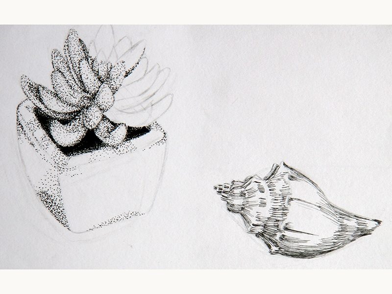 Exposition 2018 – Dessin d&rsquo;Observation : travail d’élève 24