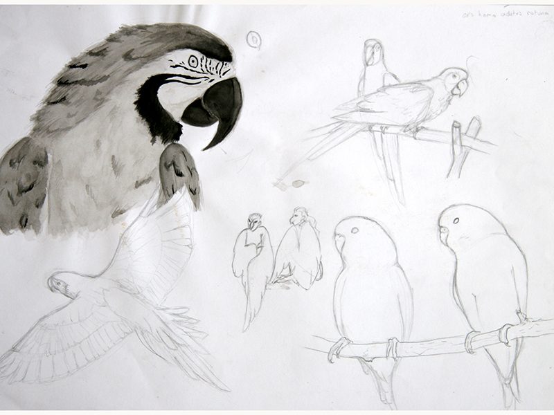Exposition 2018 – Dessin d&rsquo;Observation : travail d’élève 19