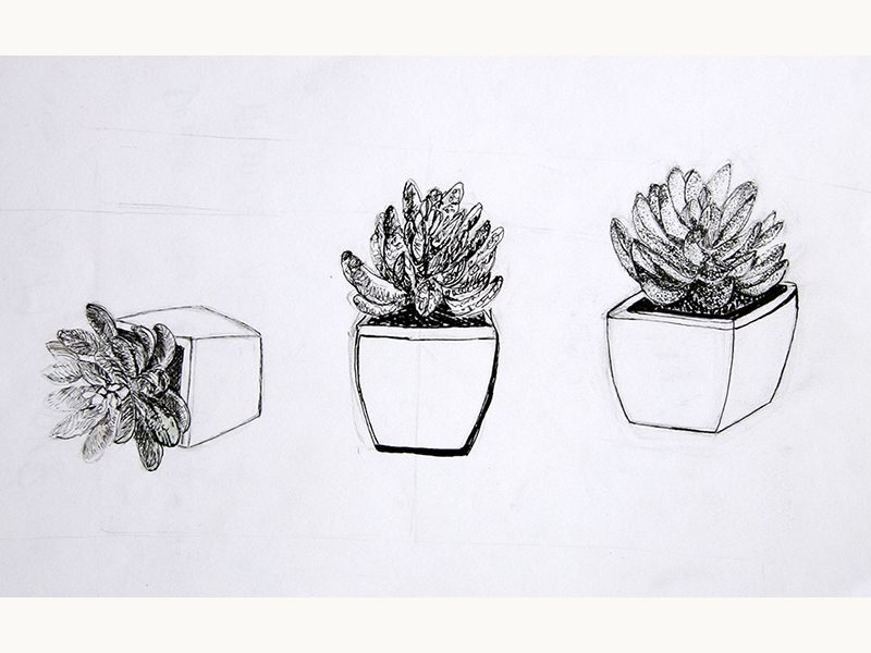 Exposition 2018 – Dessin d&rsquo;Observation : travail d’élève 33