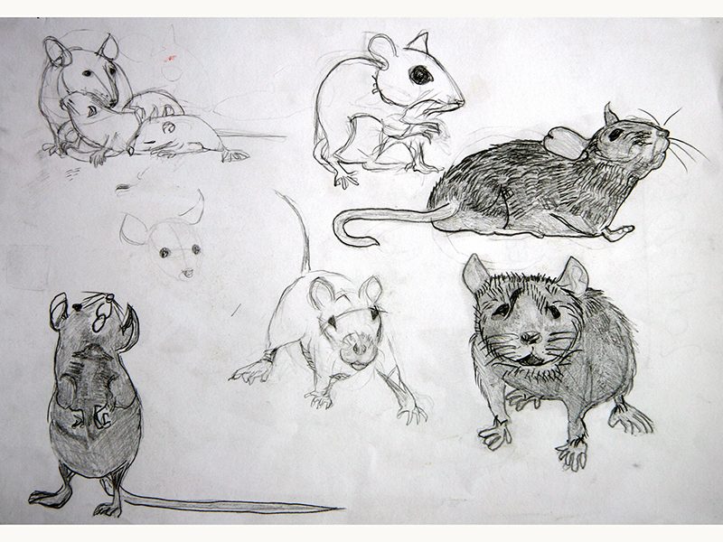Exposition 2018 – Dessin d&rsquo;Observation : travail d’élève 13