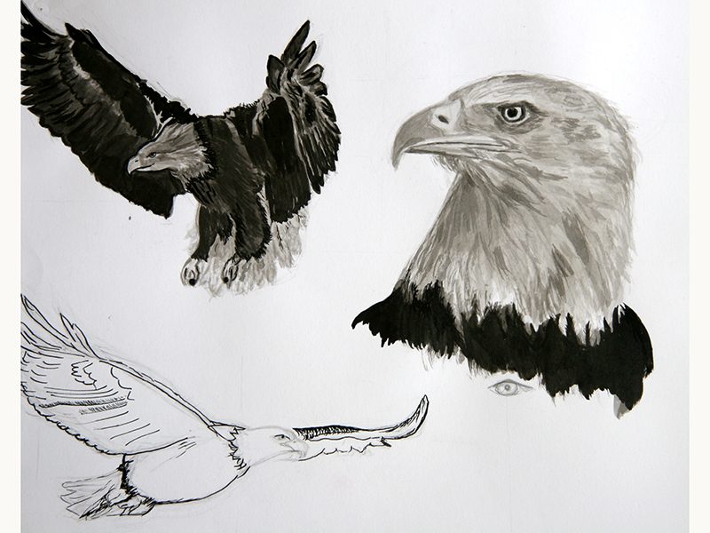 Exposition 2018 – Dessin d&rsquo;Observation : travail d’élève 11