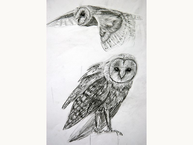 Exposition 2018 – Dessin d&rsquo;Observation : travail d’élève 7