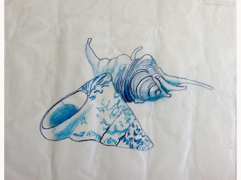 Exposition 2015 – DESSIN D&rsquo;OBSERVATION : travail d’élève 5