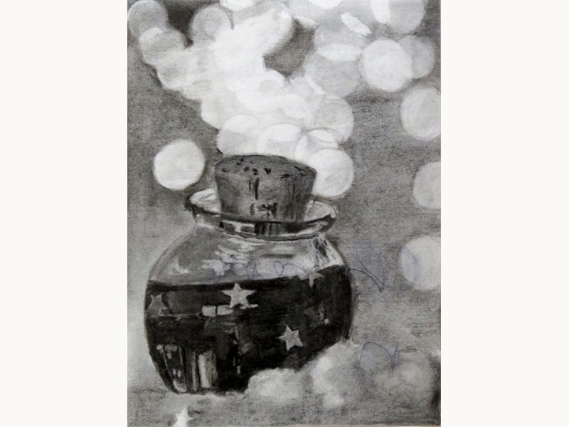 Exposition 2015 – DESSIN D&rsquo;OBSERVATION : travail d’élève 6