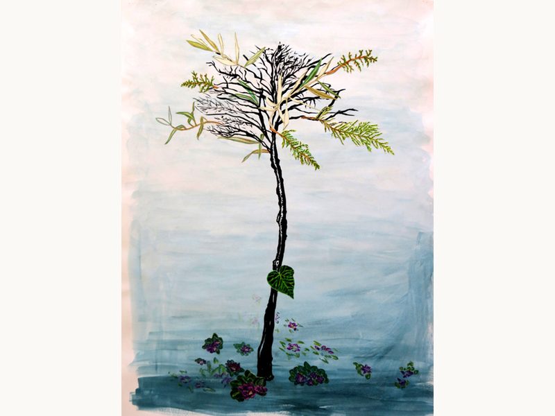 Exposition 2015 – DESSIN D&rsquo;OBSERVATION : travail d’élève 9