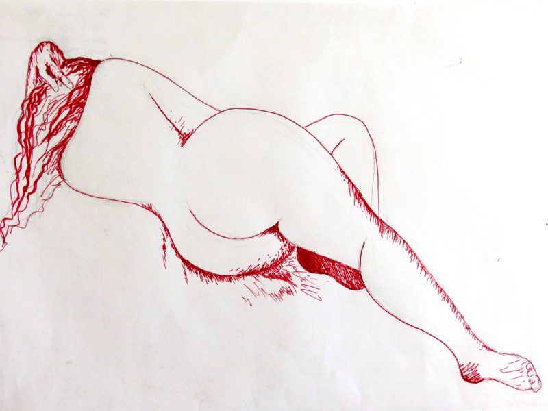 Exposition 2015 – DESSIN D&rsquo;OBSERVATION : travail d’élève 10