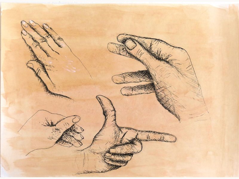 Exposition 2015 – DESSIN D&rsquo;OBSERVATION : travail d’élève 11