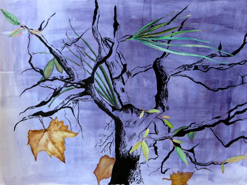 Exposition 2015 – DESSIN D’OBSERVATION