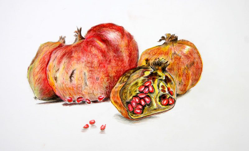 Exposition 2021 – Dessin d’Observation