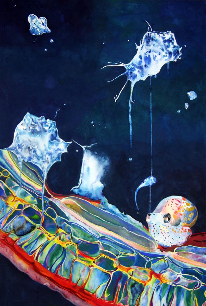 Exposition 2022 – Arts Plastiques : travail d’élève 34